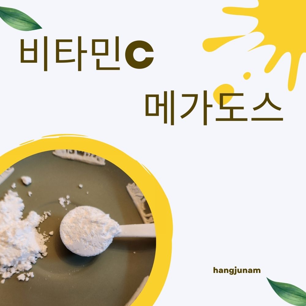 Read more about the article 비타민c 메가도스 효능, 적정량은?