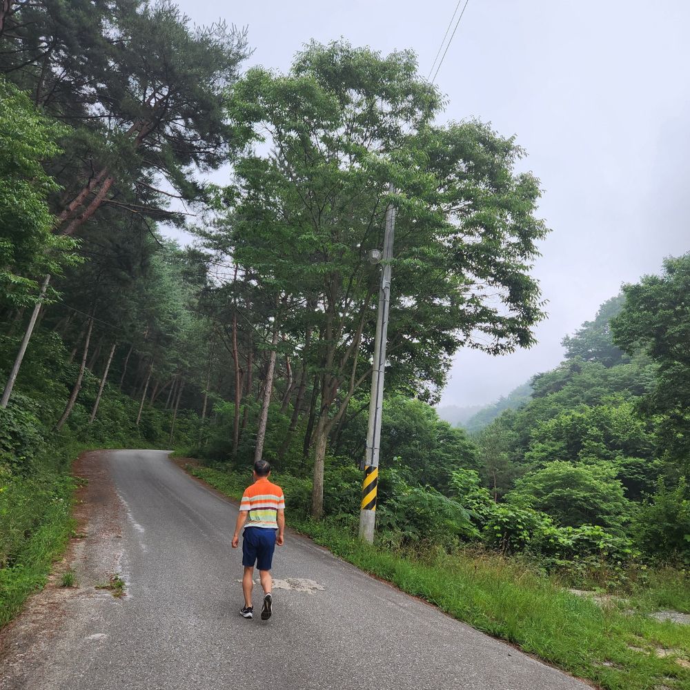 아침운동 산에 오르는 모습