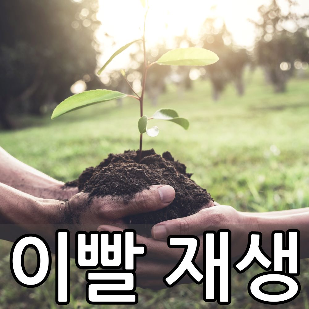 Read more about the article 이빨 재생, 현실이 다가왔다: USAG-1 억제 항체주사 개발 성공의 심층 분석 