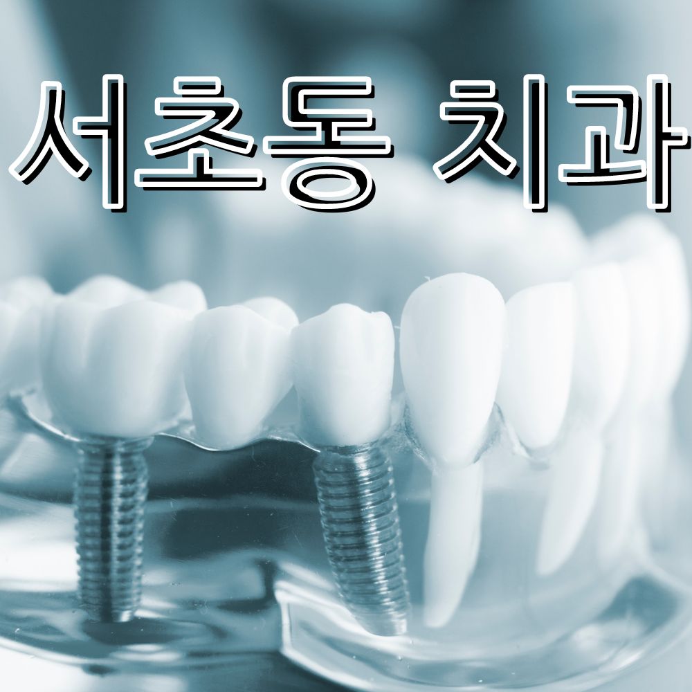 서초동 치과 임플란트 치아교정 잇몸치료 이미지