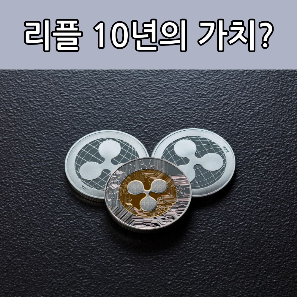 리플가격 이미지 10년의 가치